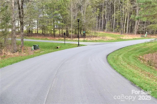 a view of a park with large trees