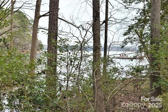 a view of a yard with a space