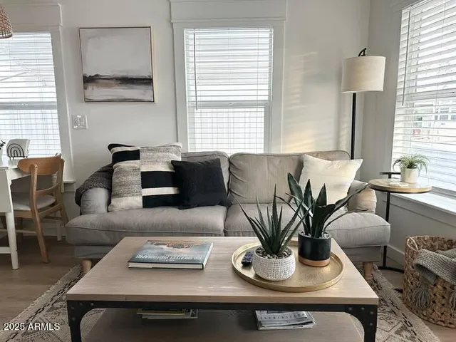 a living room with furniture and a potted plant