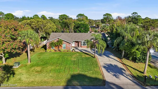 a view of a big yard with potted plants and large tree