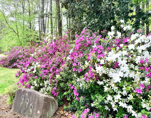 a small yard with fountain and flowers