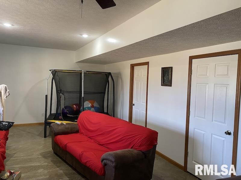 12043 East 2170th Road Marshall, IL 62441 - Photo 45 of 70