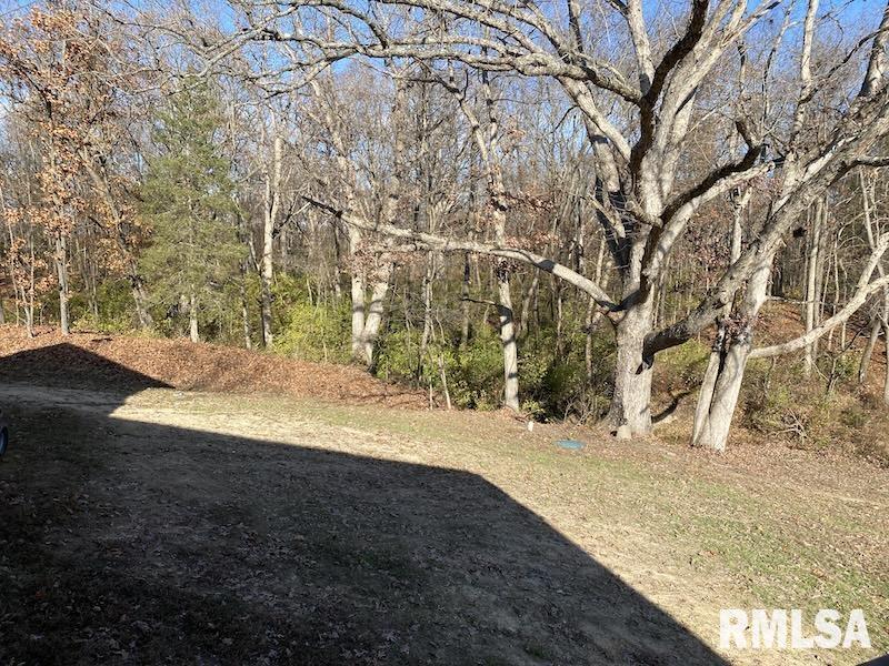 12043 East 2170th Road Marshall, IL 62441 - Photo 59 of 70