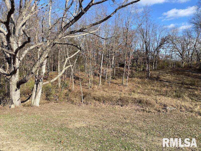 12043 East 2170th Road Marshall, IL 62441 - Photo 60 of 70