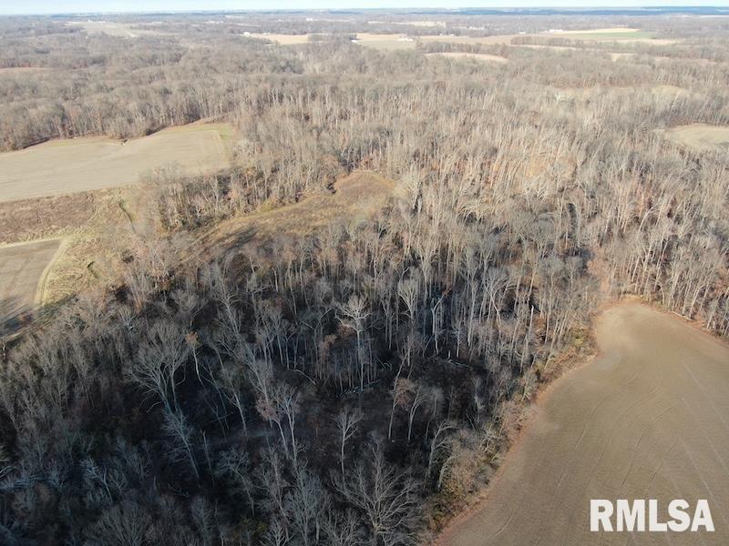 12043 East 2170th Road Marshall, IL 62441 - Photo 8 of 70