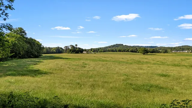 a view of kitchen with cabinets and wooden floor