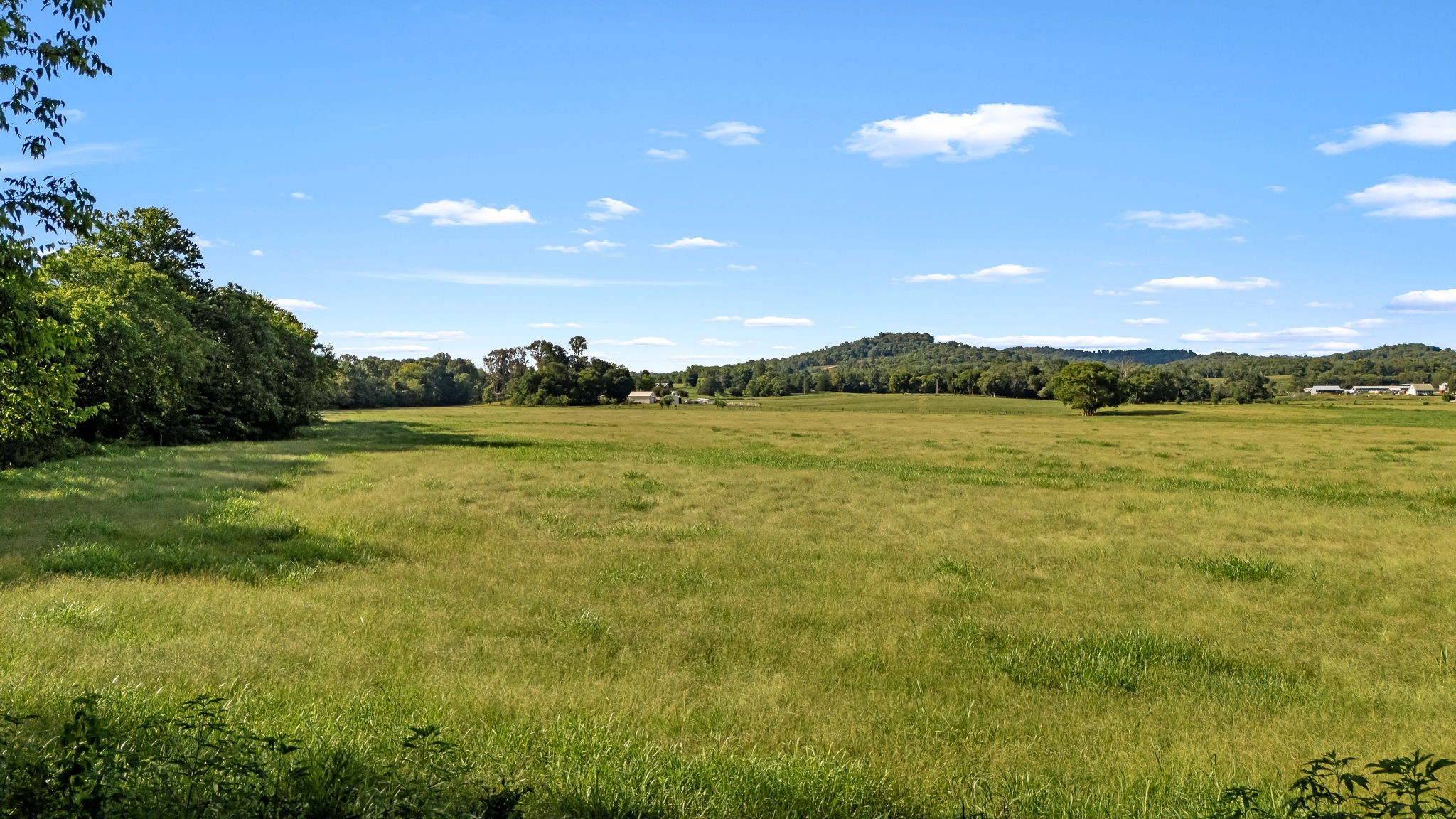 2811 Bert Watt Road Petersburg, TN 37144 - Photo 11 of 83