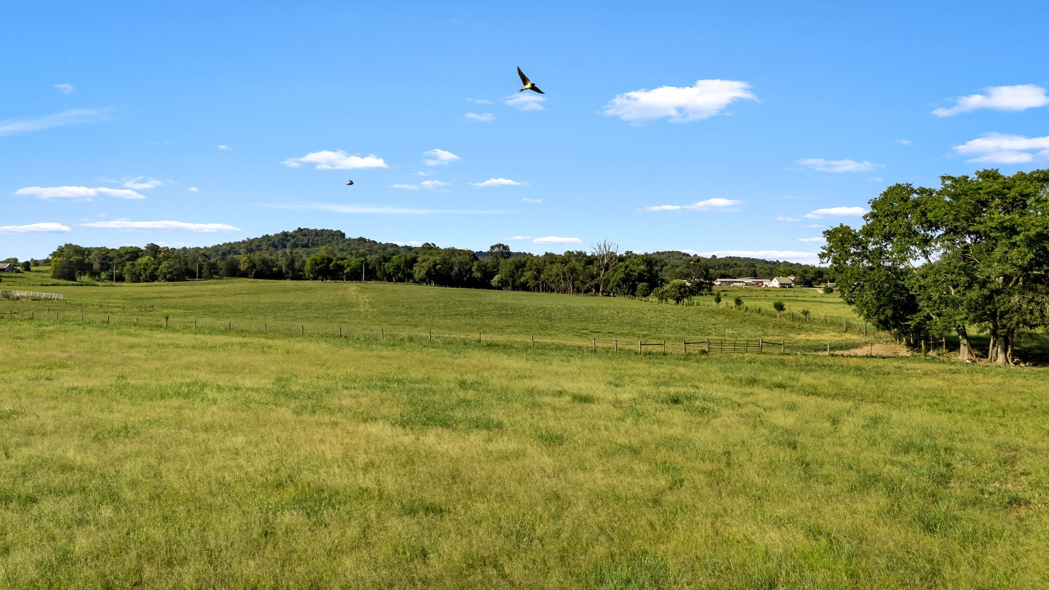 2811 Bert Watt Road Petersburg, TN 37144 - Photo 14 of 83