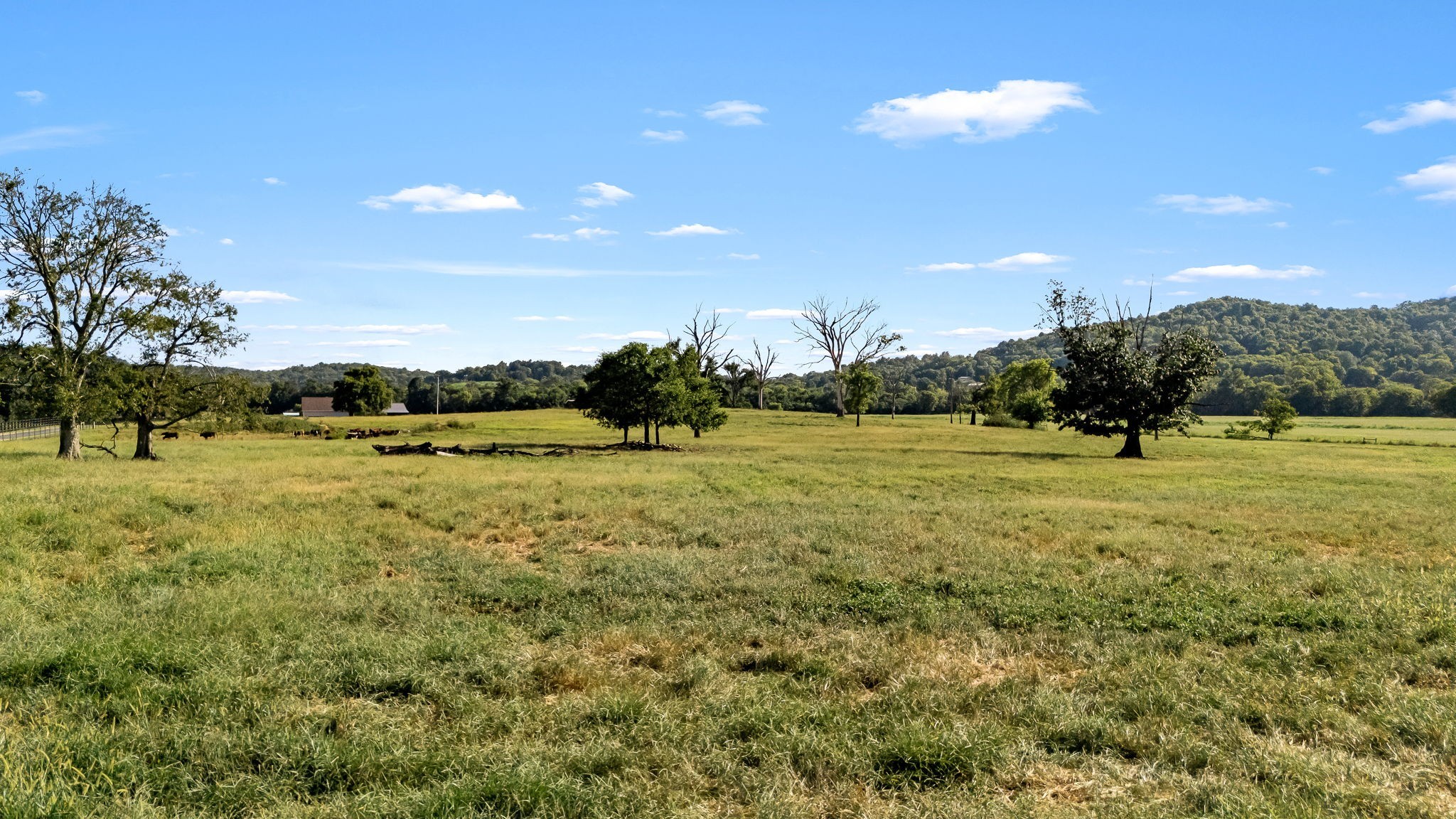 2811 Bert Watt Road Petersburg, TN 37144 - Photo 66 of 83