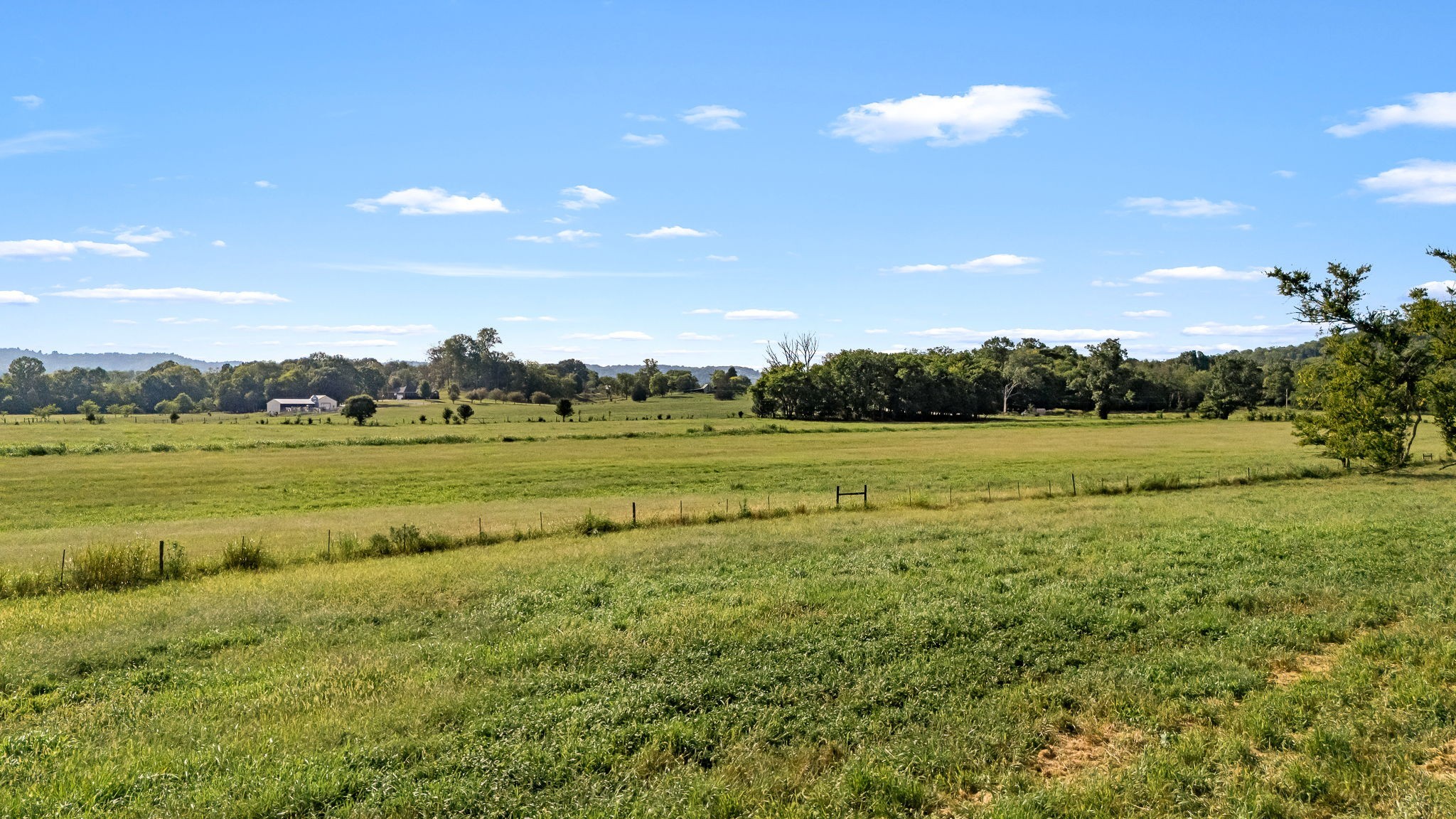 2811 Bert Watt Road Petersburg, TN 37144 - Photo 68 of 83