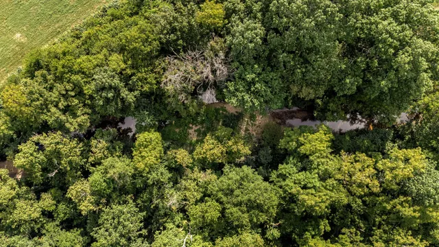 $699,000 | 2811 Bert Watt Road, Petersburg, TN 37144