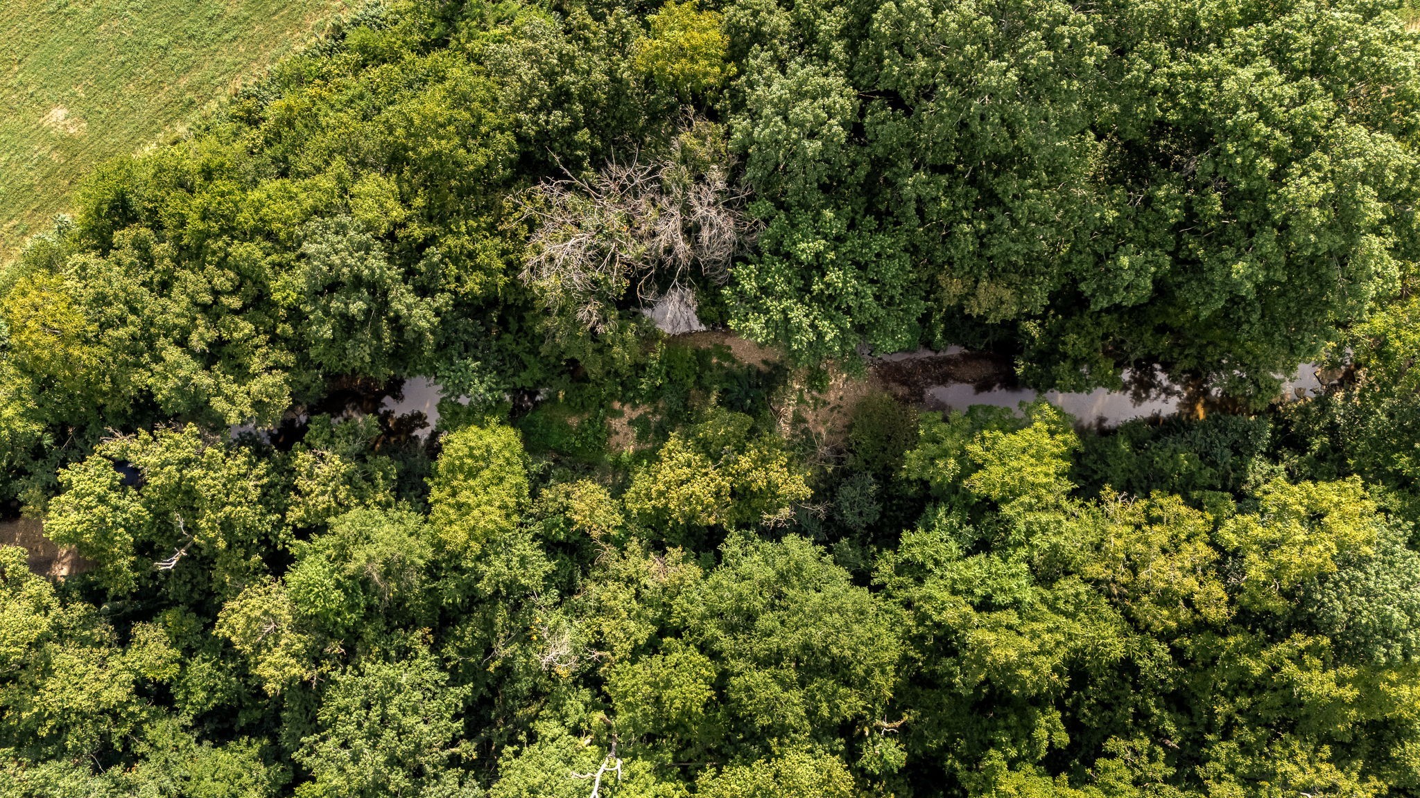 2811 Bert Watt Road Petersburg, TN 37144 - Photo 73 of 83