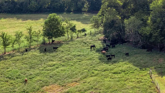 $699,000 | 2811 Bert Watt Road, Petersburg, TN 37144