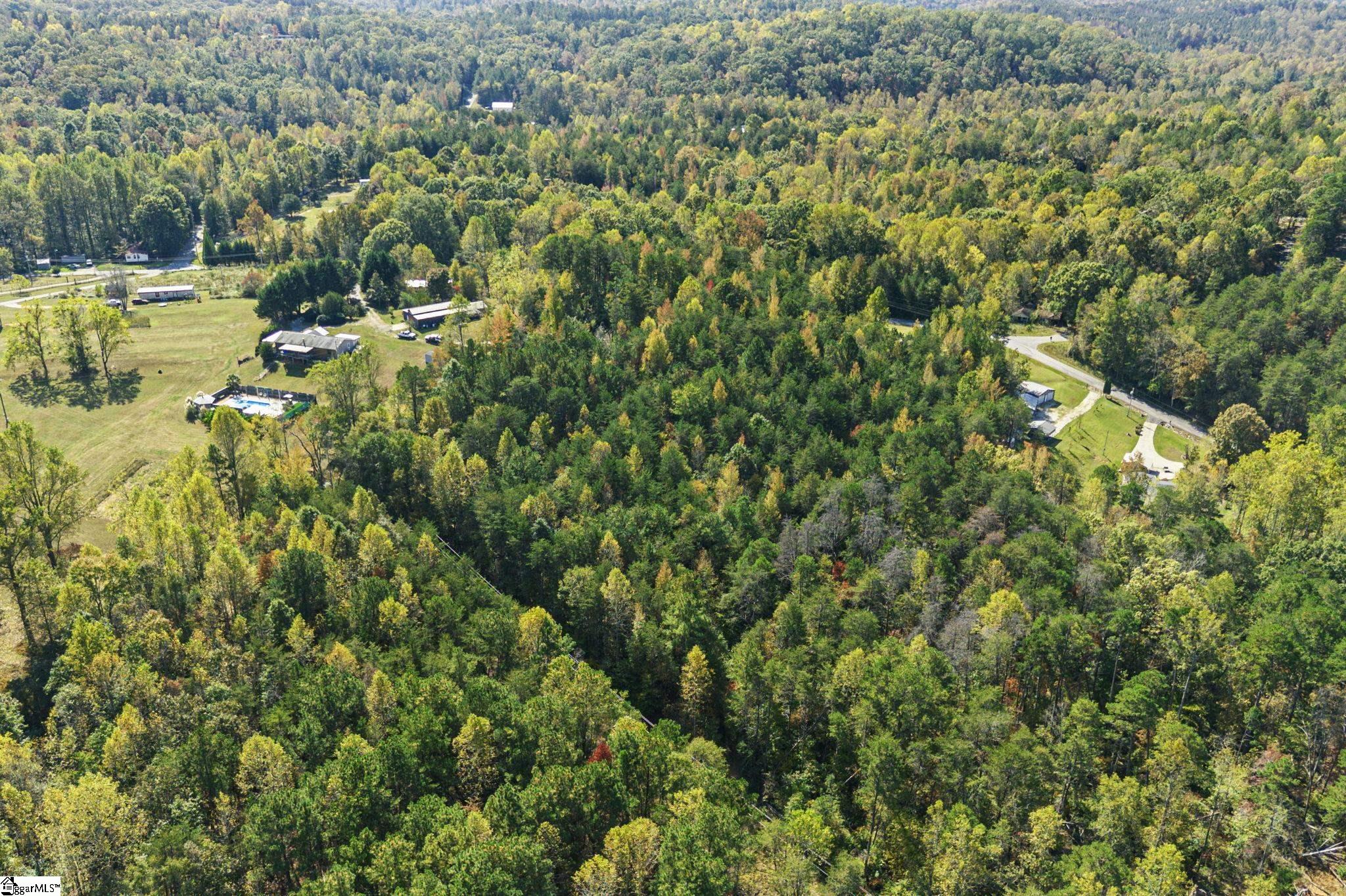 0 Duncan Road Six Mile, SC 29682 - Photo 11 of 12