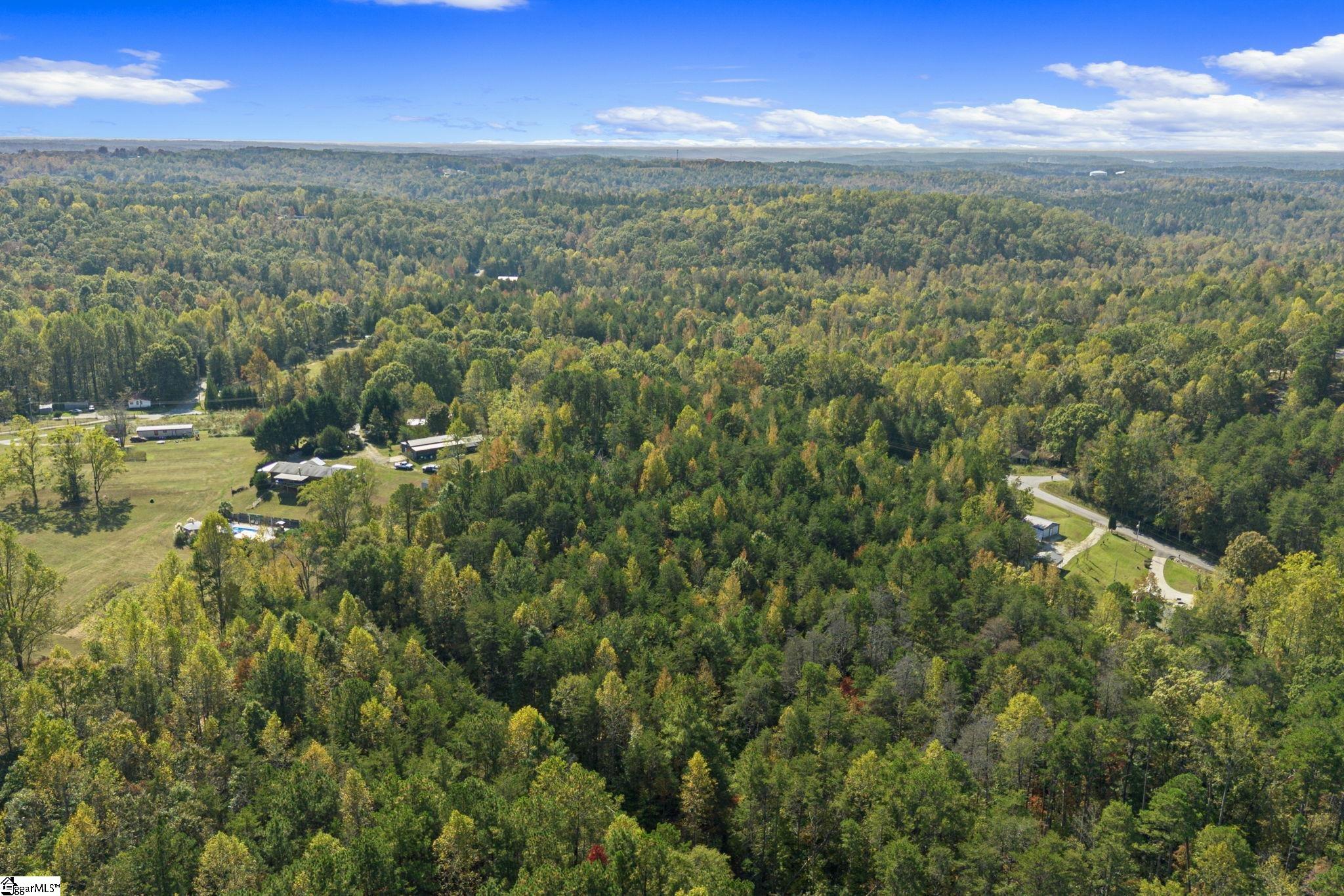 0 Duncan Road Six Mile, SC 29682 - Photo 3 of 12