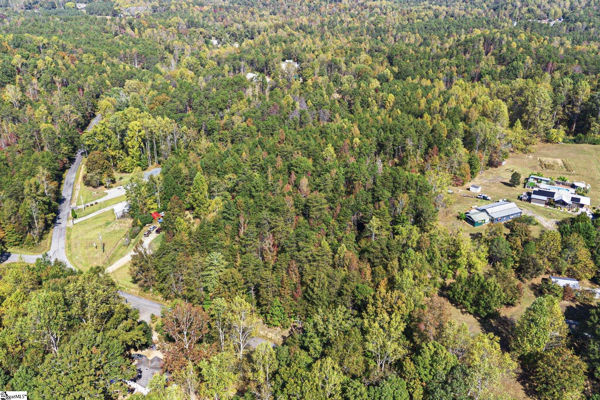 0 Duncan Road Six Mile, SC 29682 - Photo 5 of 12