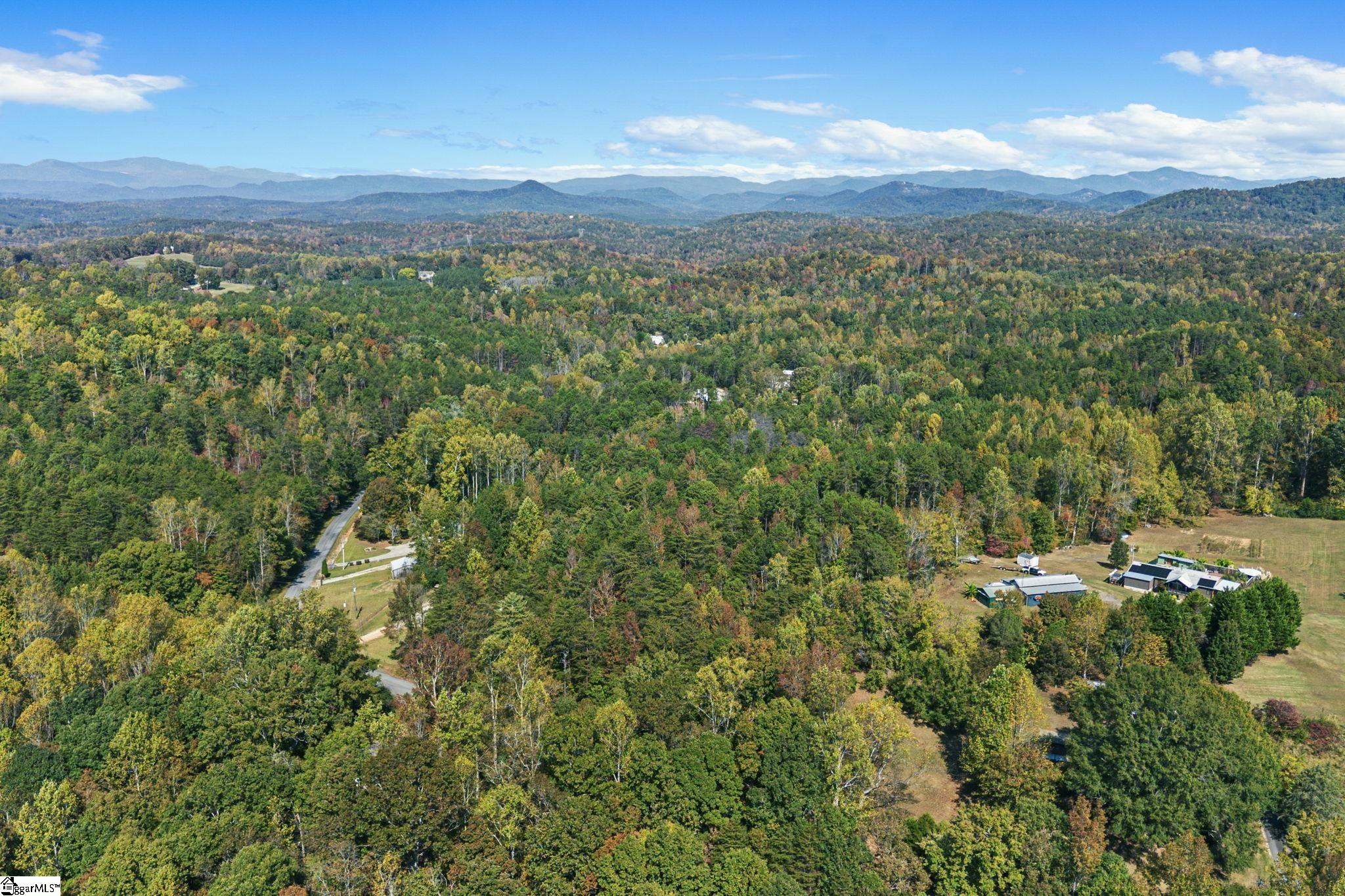 0 Duncan Road Six Mile, SC 29682 - Photo 8 of 12