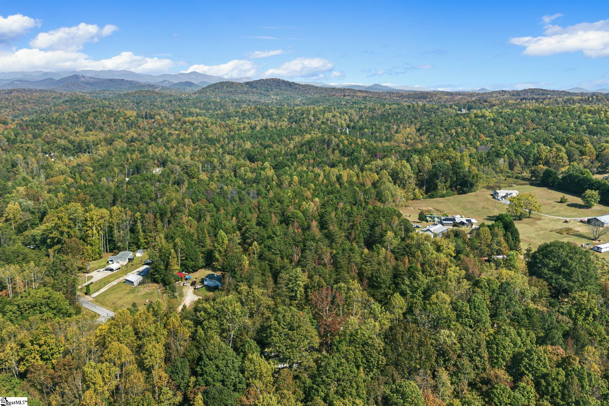 0 Duncan Road Six Mile, SC 29682 - Photo 9 of 12