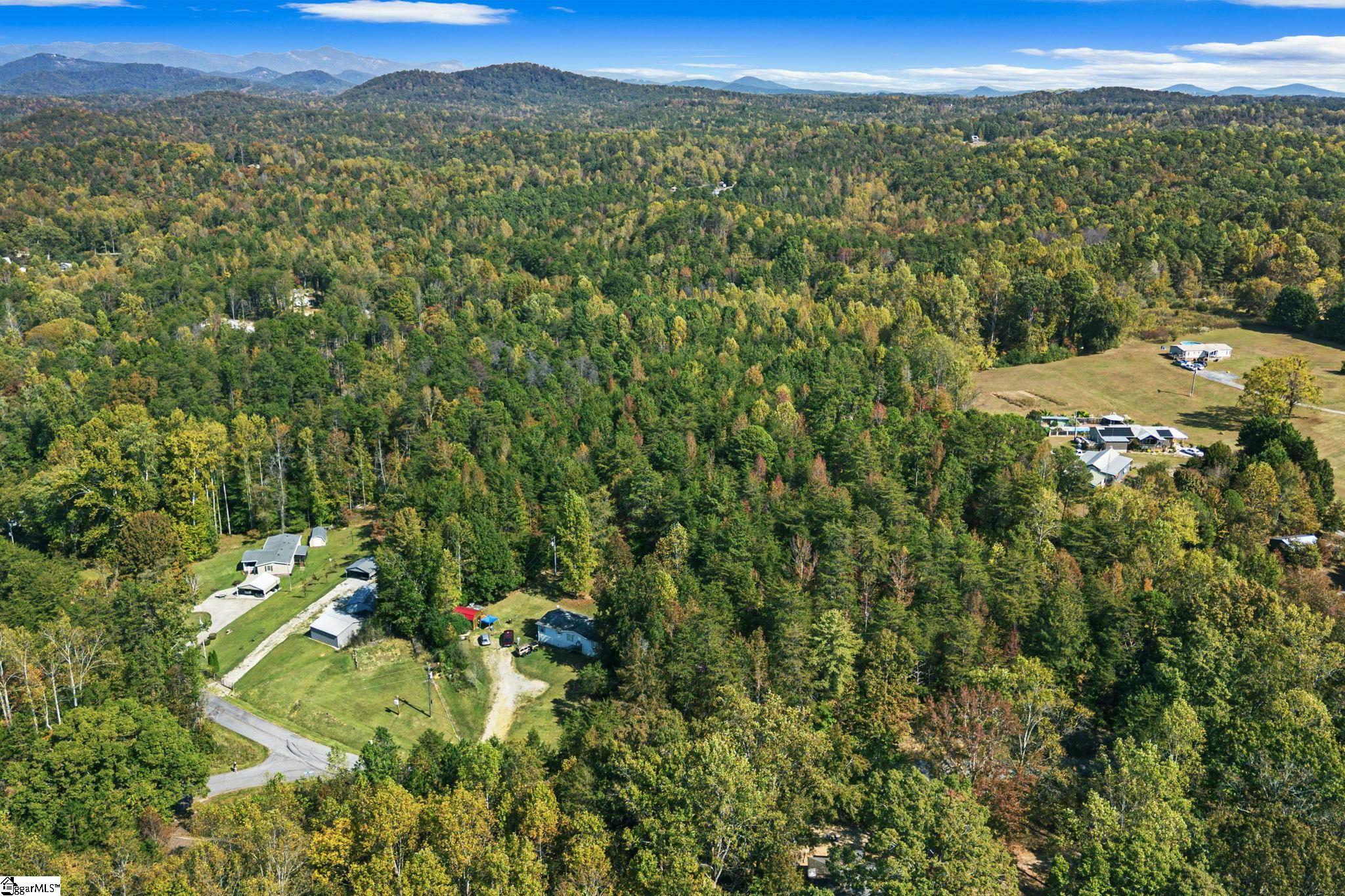 0 Duncan Road Six Mile, SC 29682 - Photo 10 of 12