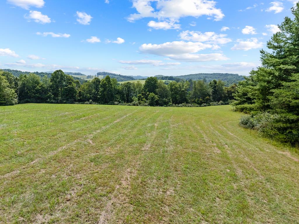0 Canning Factory Road Southwest, Unit 659 Floyd, VA 24091 - Photo 21 of 49 Gallery Image 21