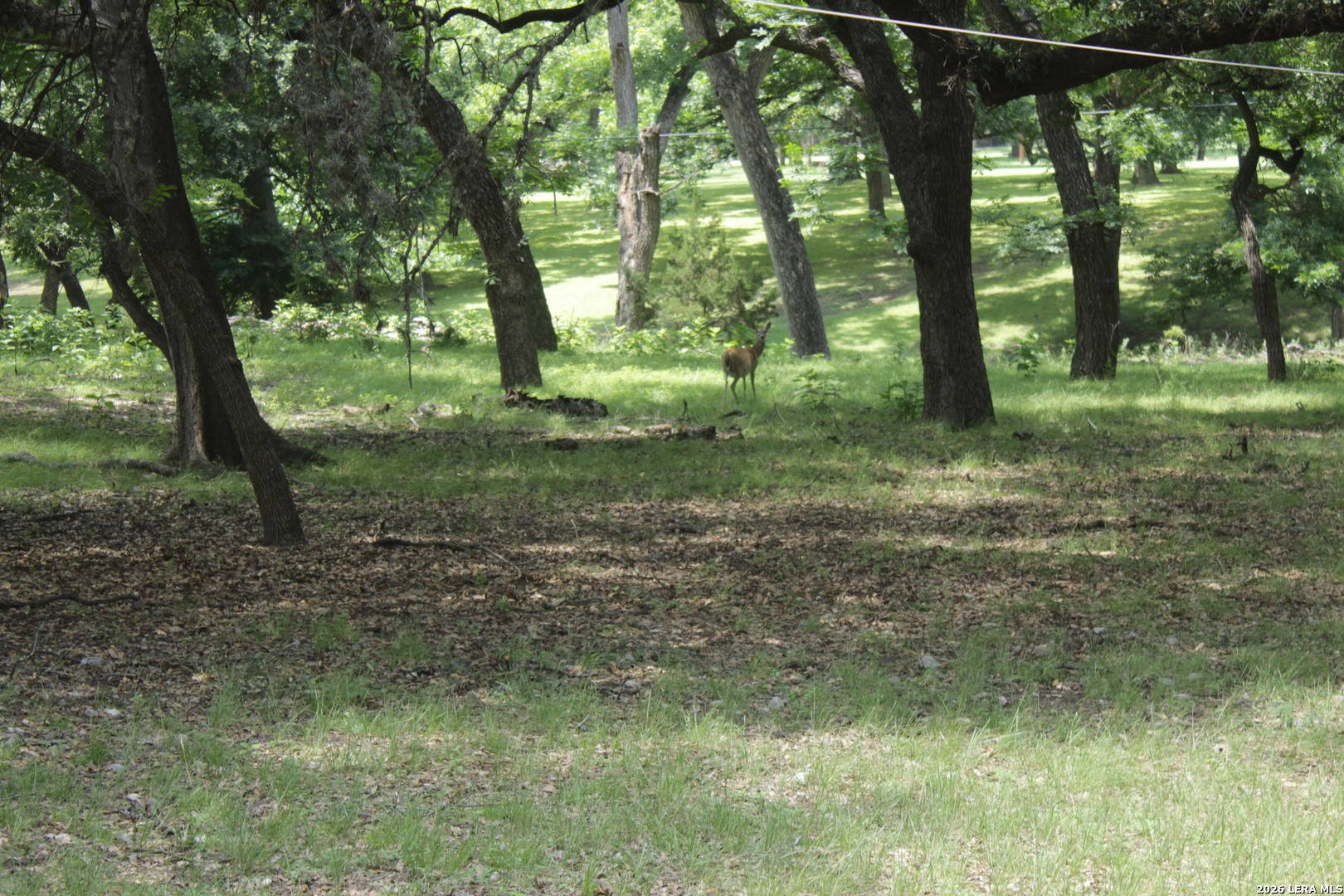 28 South River Pl Road Rio Frio, TX 78879 - Photo 19 of 40
