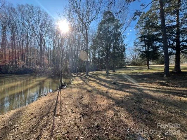a view of a yard with large trees