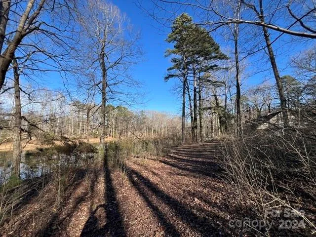 a view of a yard with large trees
