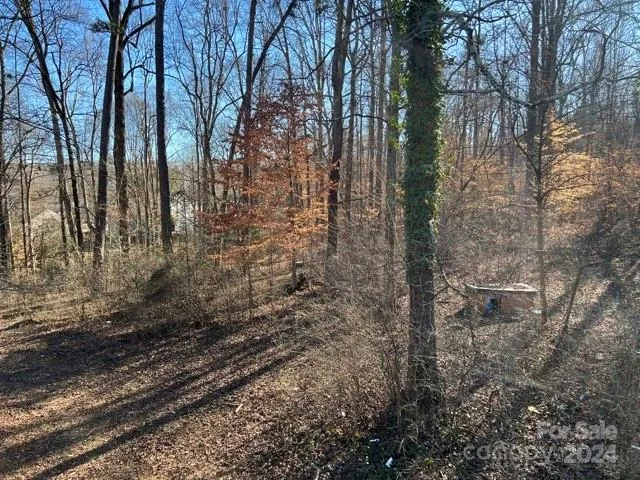 a view of a yard with lots of green space