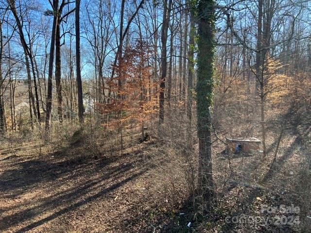 7100 Ridge Lane Road Charlotte, NC 28262 - Photo 9 of 11 a view of a yard with large trees