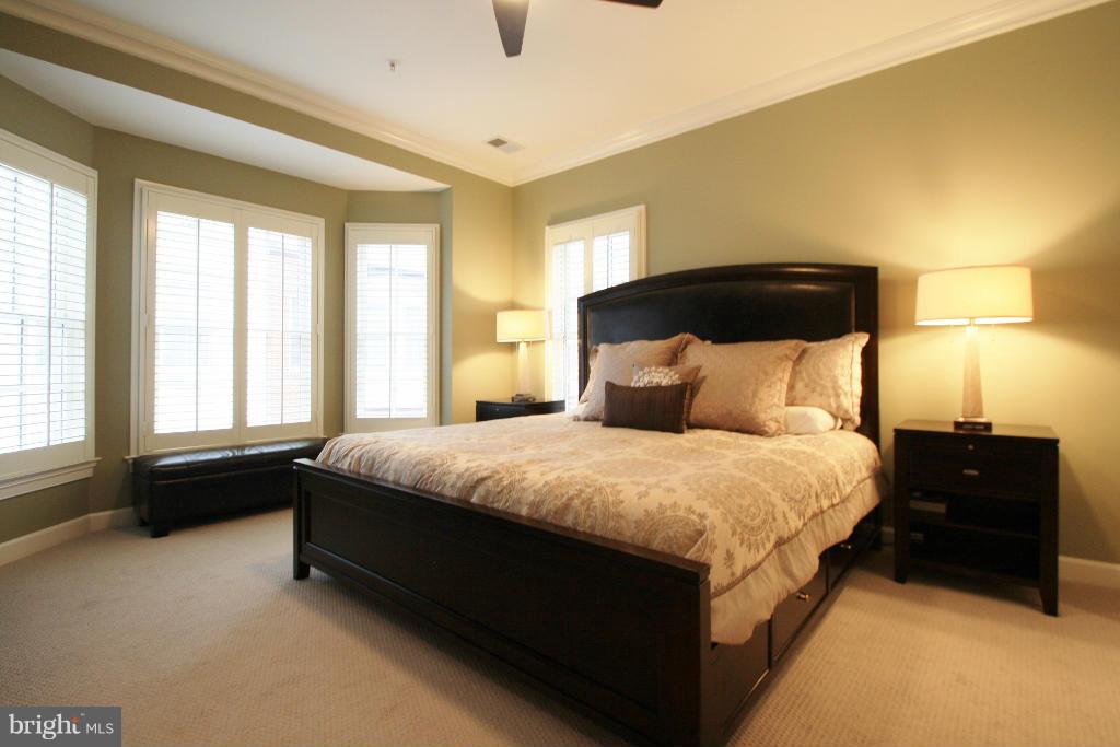 413 Princess Street Alexandria, VA 22314 - Photo 18 of 30 Large master bedroom with bay window
