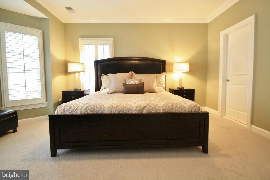 413 Princess Street Alexandria, VA 22314 - Photo 19 of 30 Large fitted walk-in closet in master bedroom