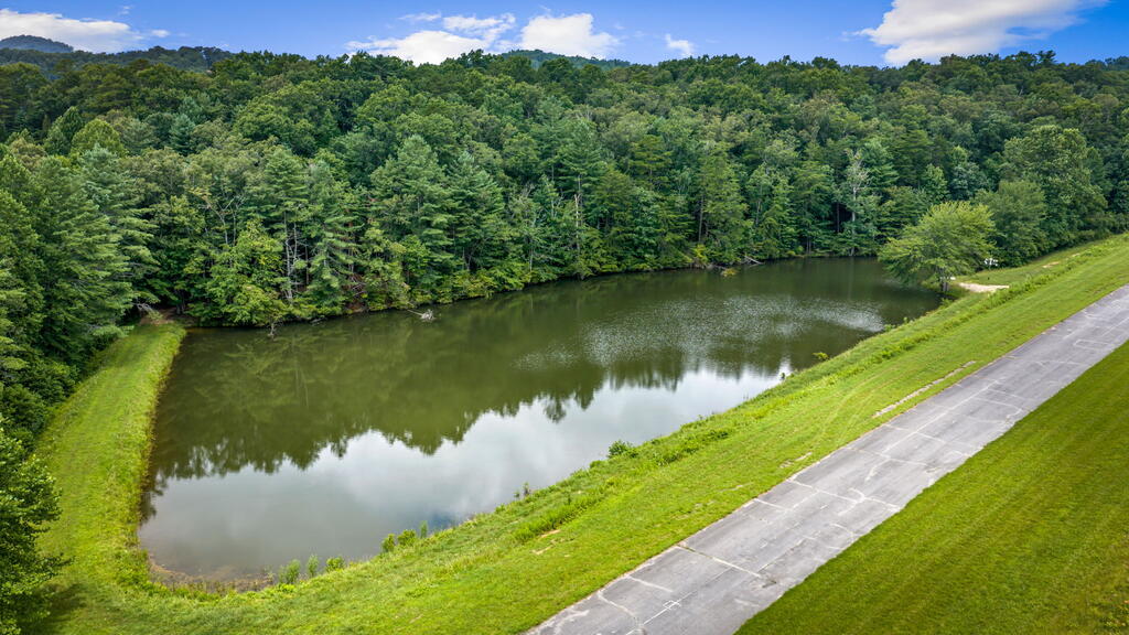 179 Cessna Loop Blue Ridge, GA 30513 - Photo 4 of 104 Gallery Image 4