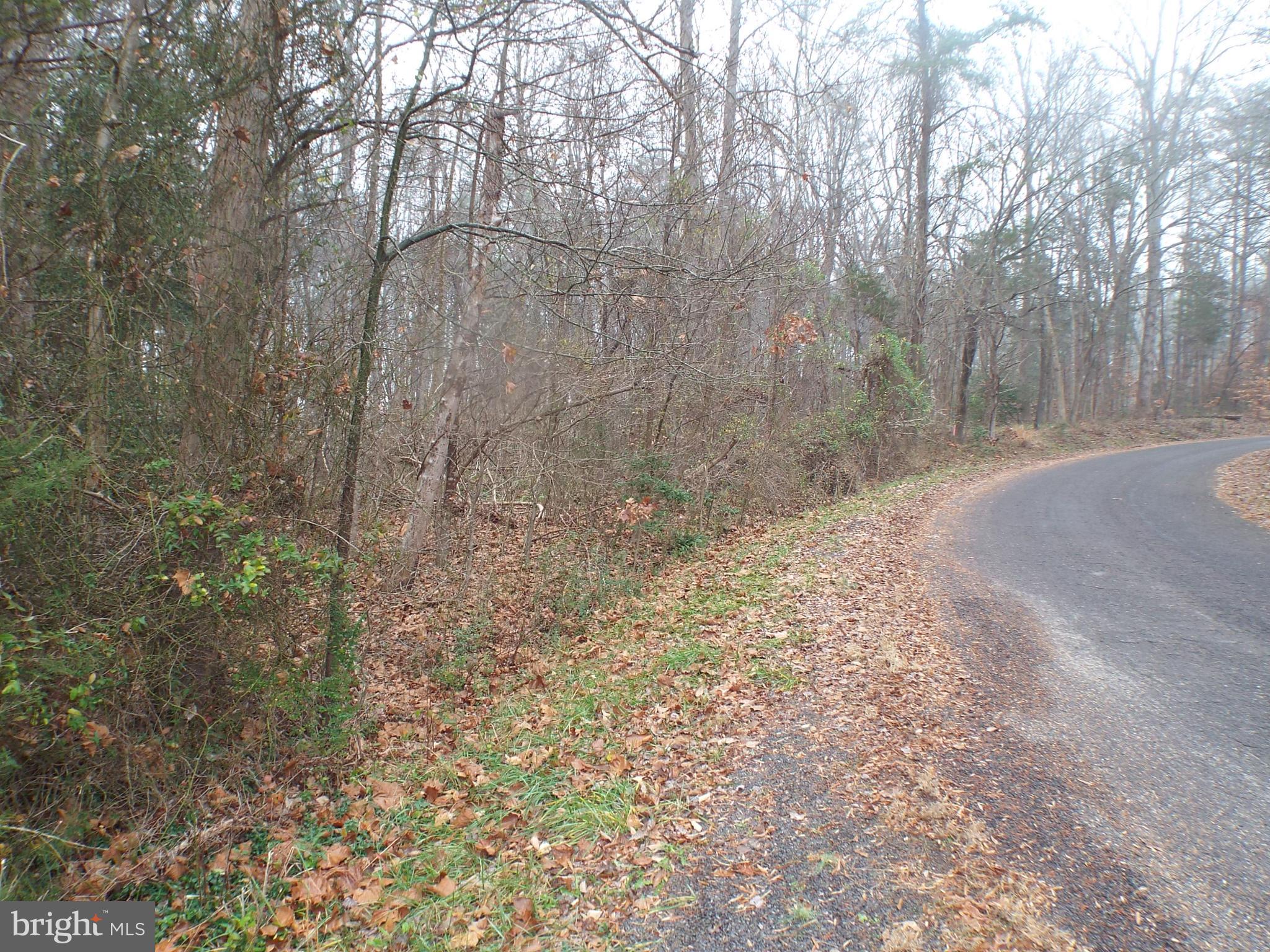 8 Rapidan Road Locust Grove, VA 22508 - Photo 11 of 26 right side of lot