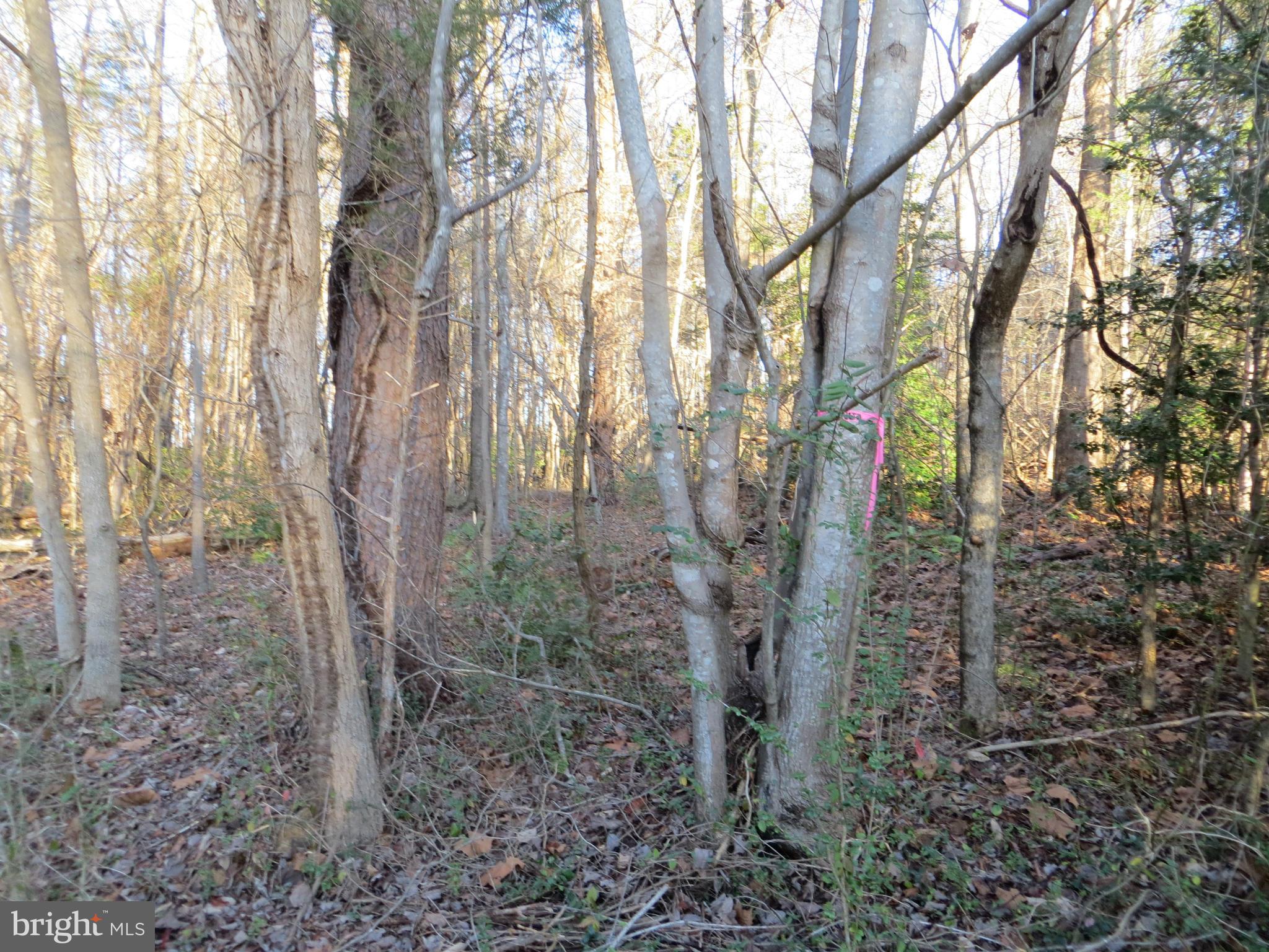 8 Rapidan Road Locust Grove, VA 22508 - Photo 12 of 26 left side tapings