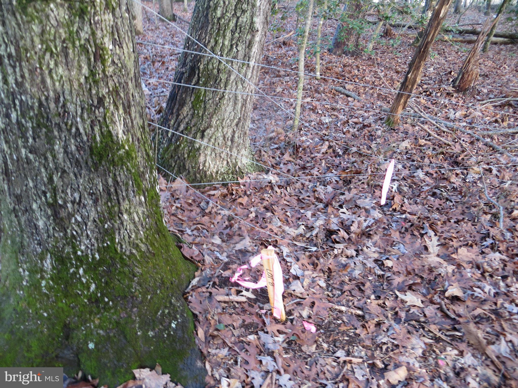 8 Rapidan Road Locust Grove, VA 22508 - Photo 15 of 26 back line neighbor fence