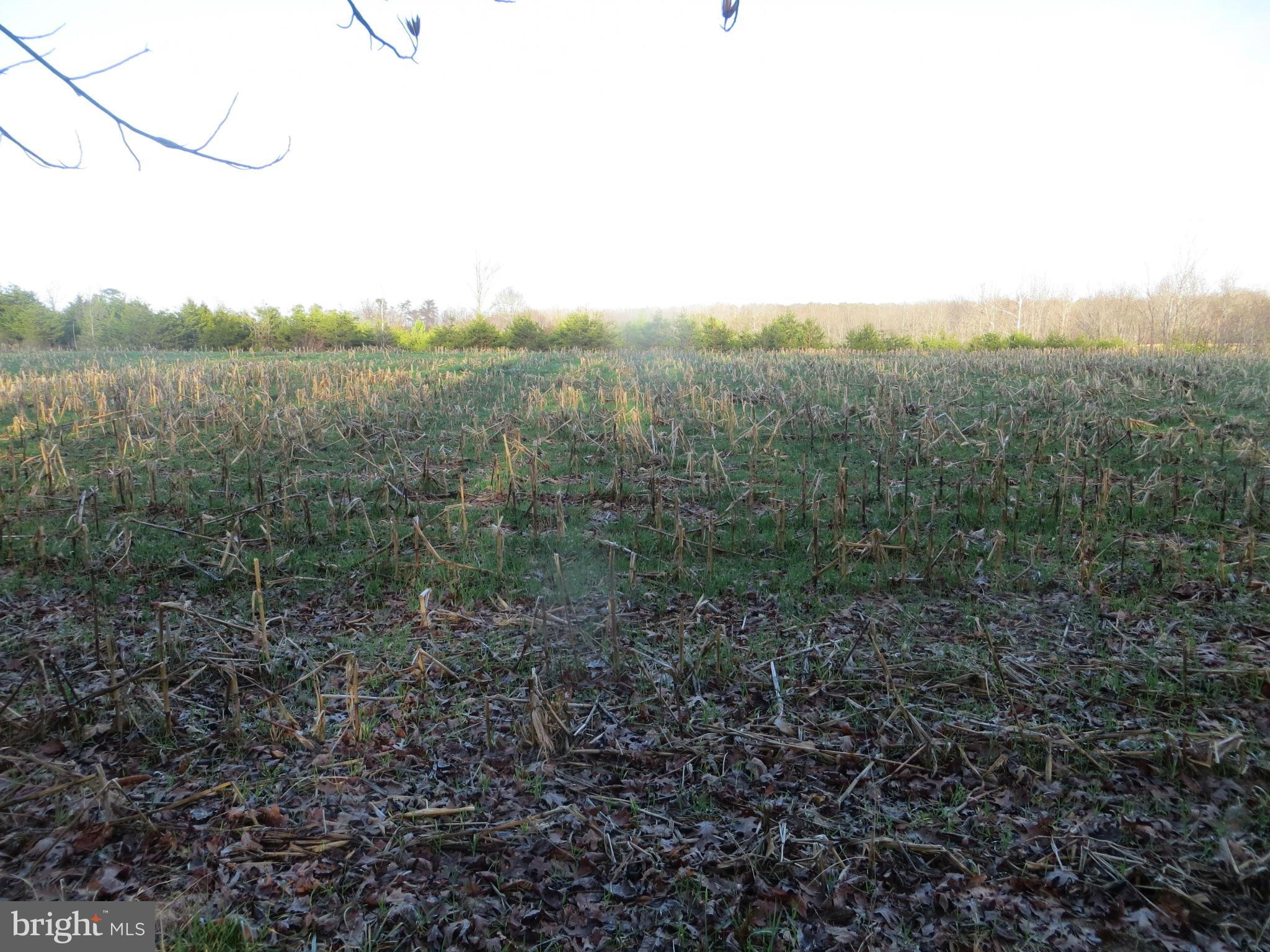 8 Rapidan Road Locust Grove, VA 22508 - Photo 17 of 26 behind neighbor