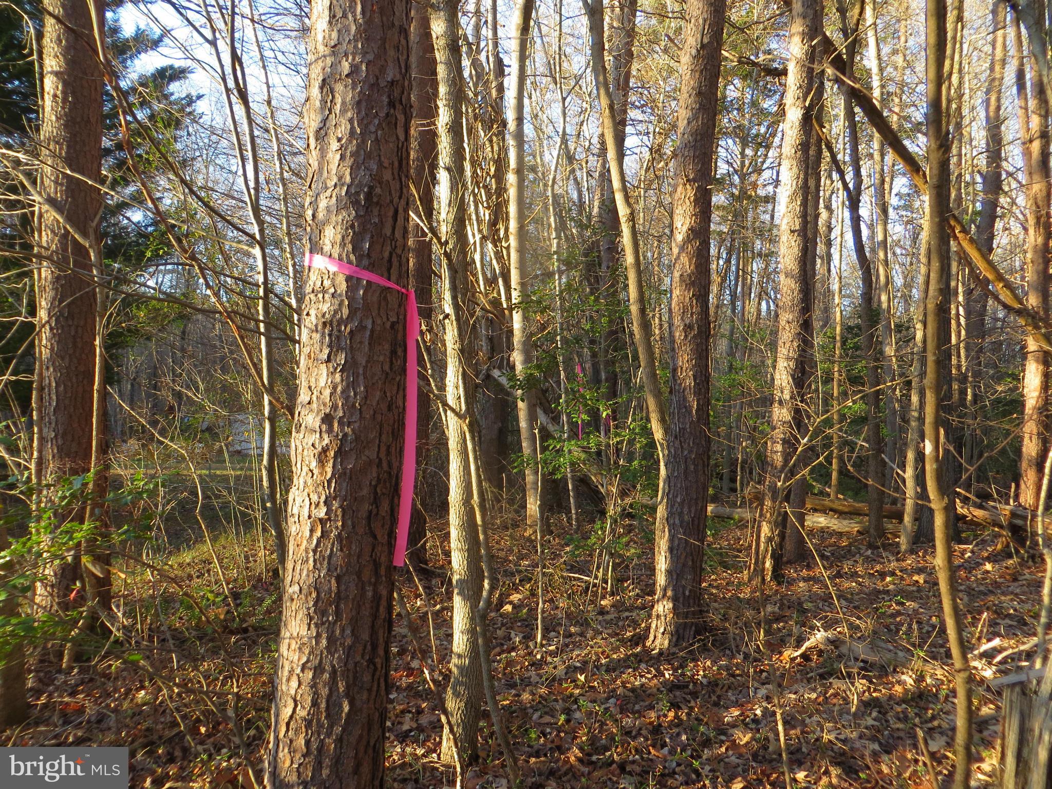 8 Rapidan Road Locust Grove, VA 22508 - Photo 4 of 26 left side line
