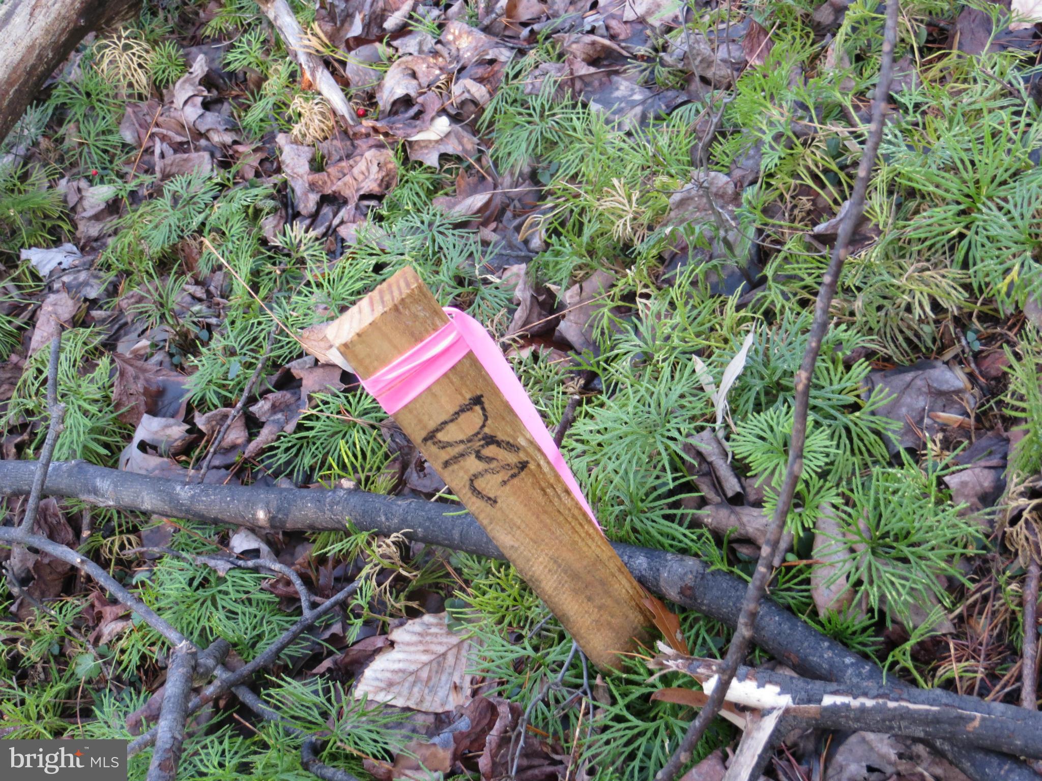 8 Rapidan Road Locust Grove, VA 22508 - Photo 6 of 26 drainfield stake