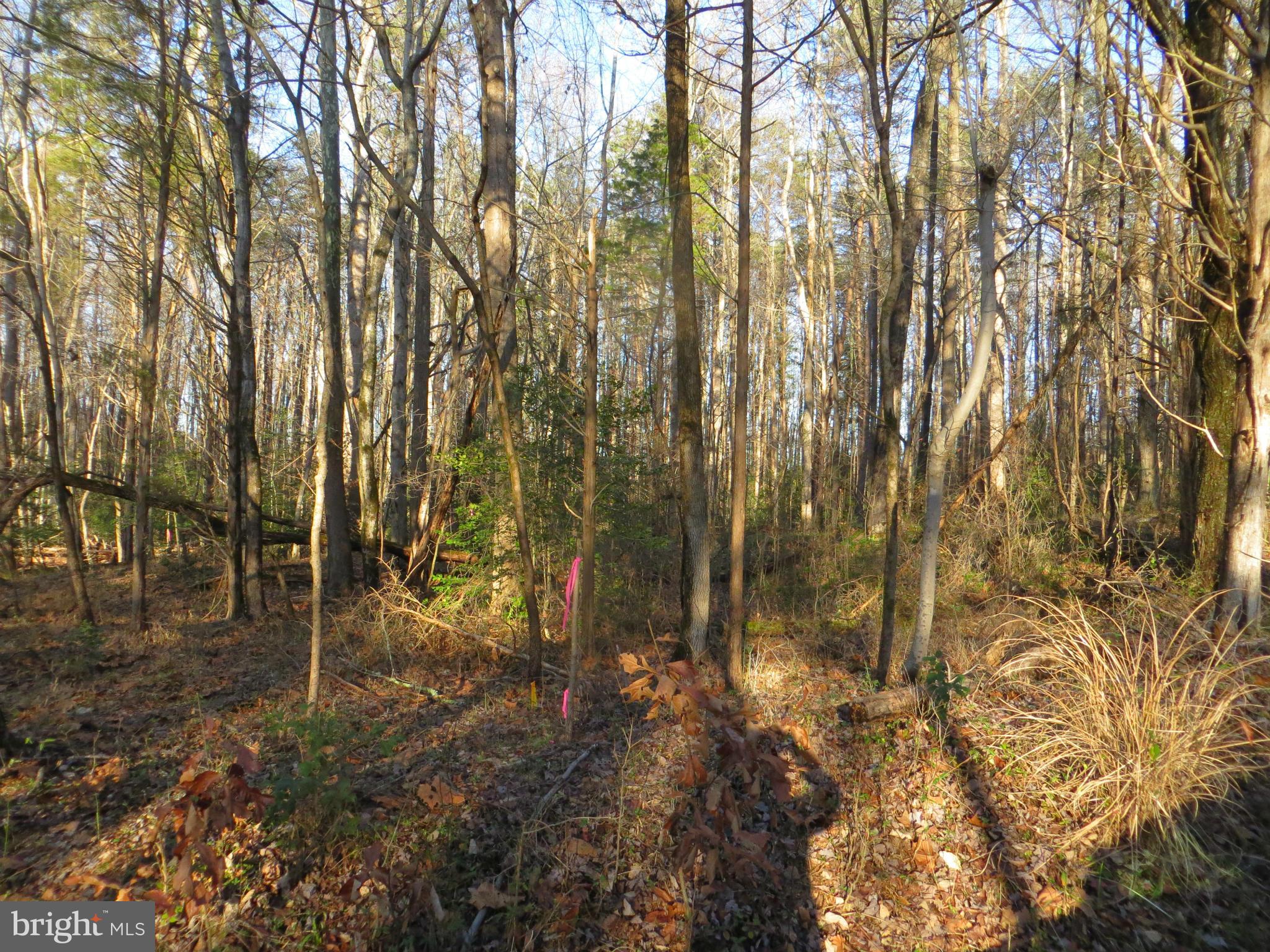 8 Rapidan Road Locust Grove, VA 22508 - Photo 7 of 26 drainfield