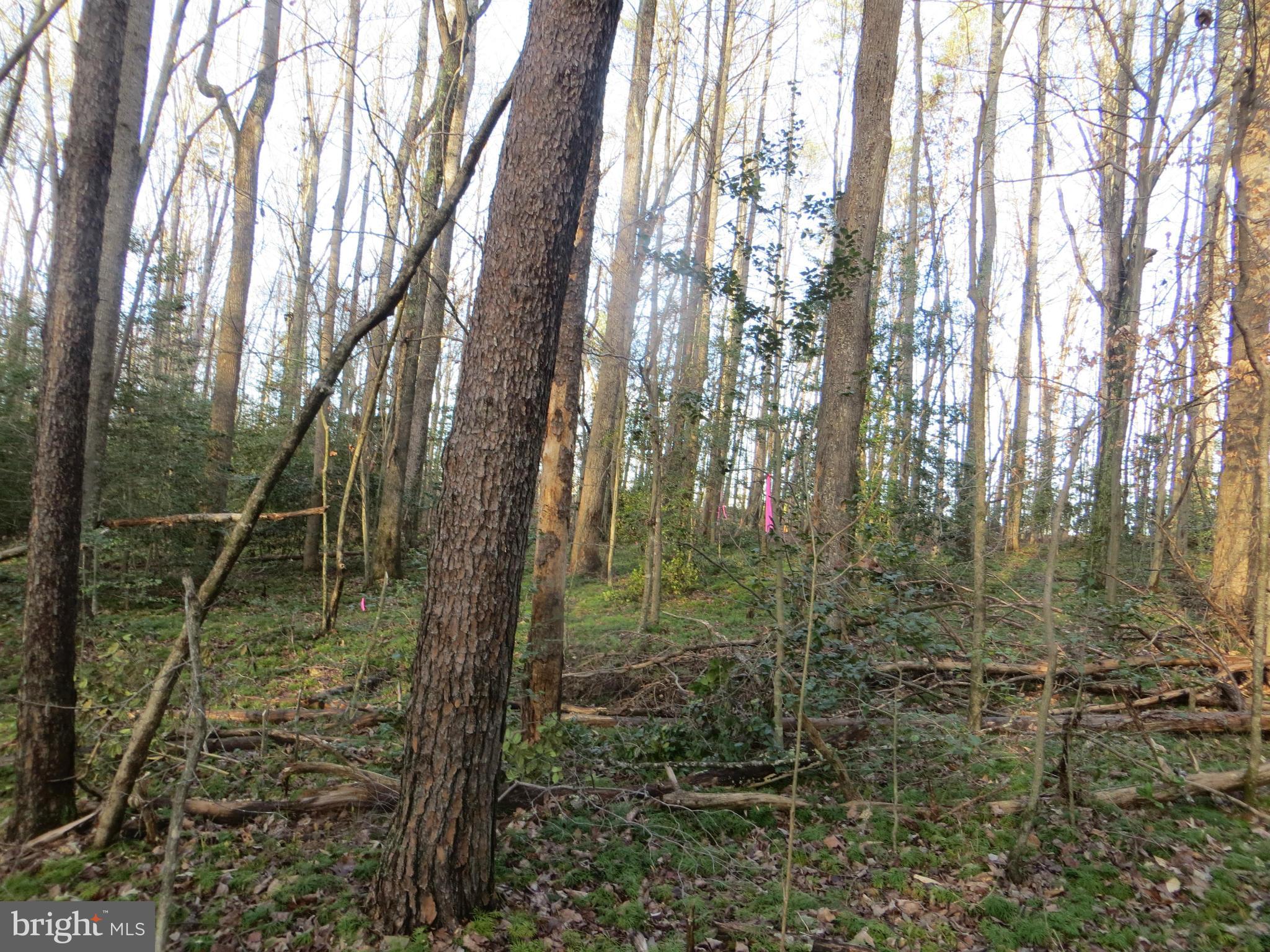 8 Rapidan Road Locust Grove, VA 22508 - Photo 8 of 26 Drainfield 2