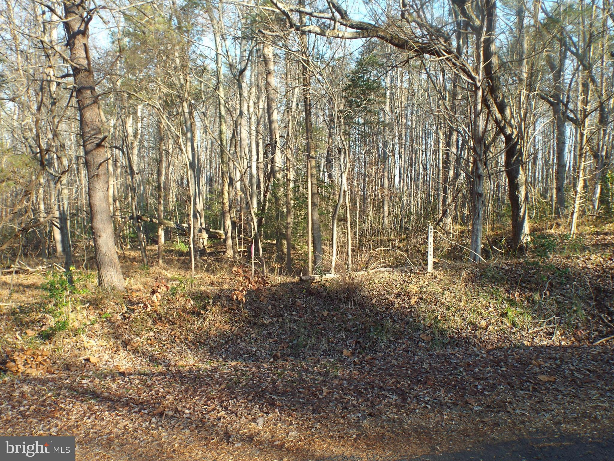 8 Rapidan Road Locust Grove, VA 22508 - Photo 9 of 26 Lot from the center