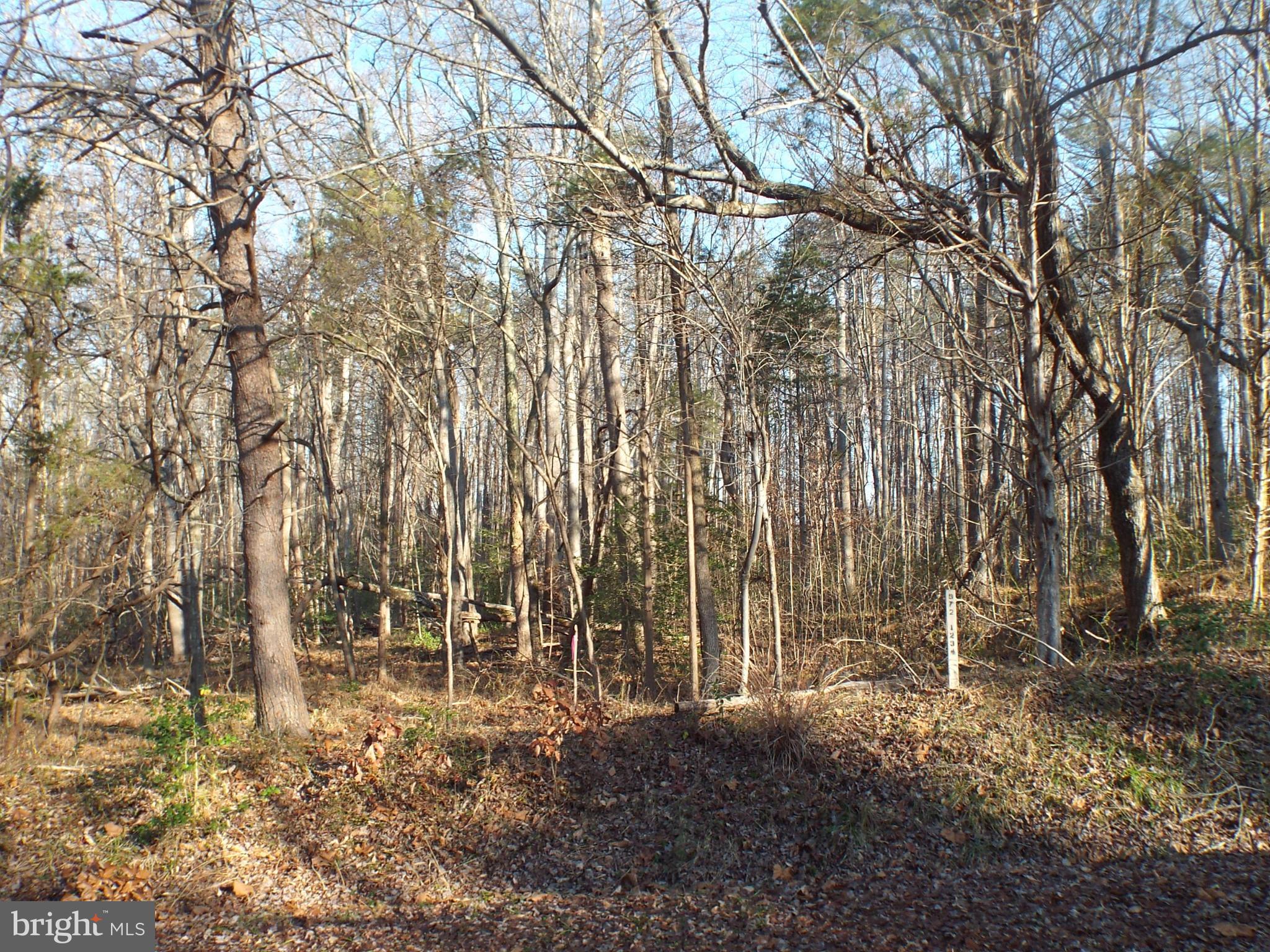 8 Rapidan Road Locust Grove, VA 22508 - Photo 10 of 26 Lot from the left
