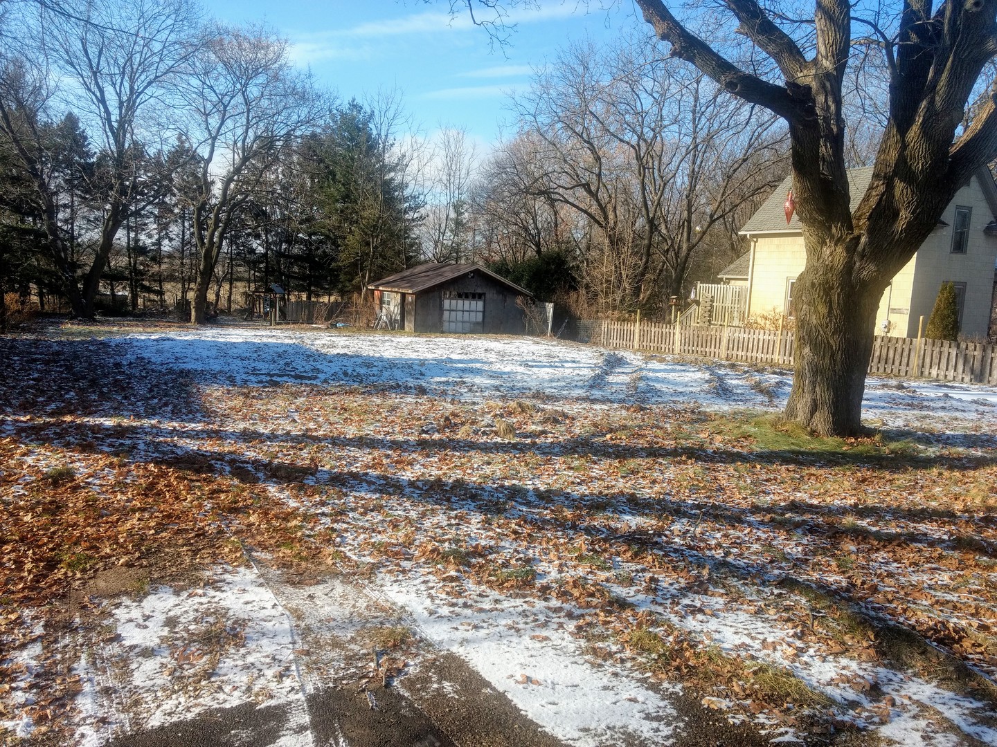 a view of a yard with a tree