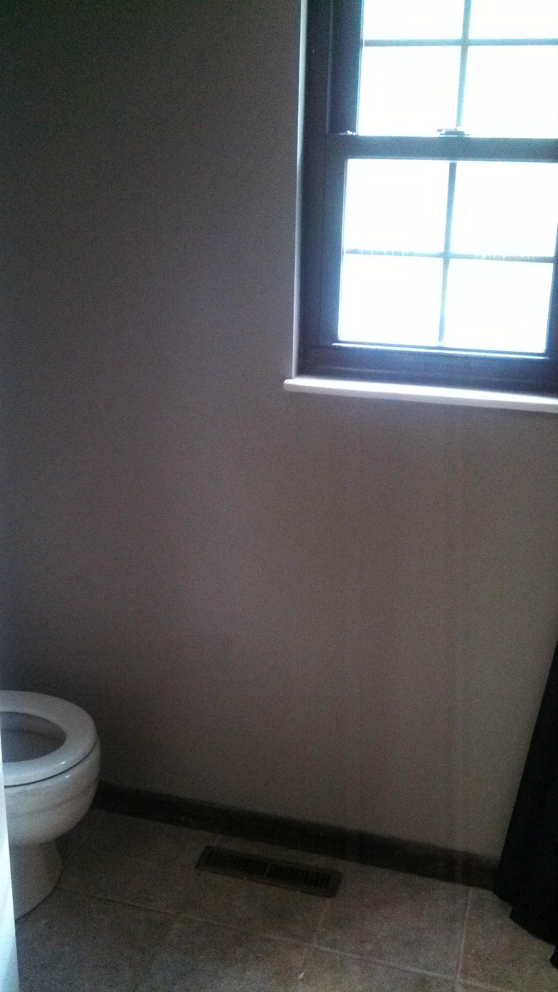 192 Williams Road Philadelphia, TN 37846 - Photo 2 of 17 bathroom (2)
