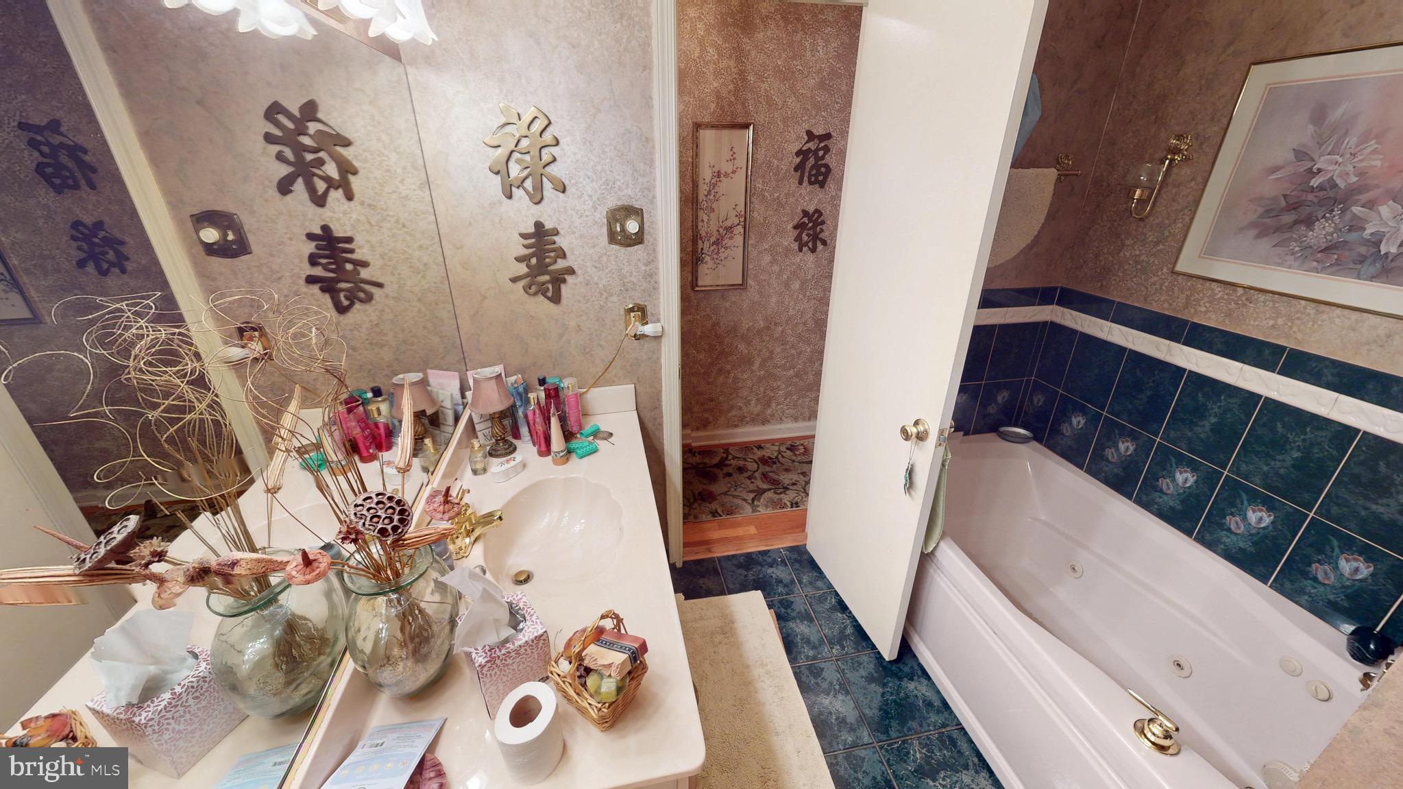 6911 Good Luck Road Hyattsville, MD 20784 - Photo 55 of 94 a bathroom with a sink and mirror with bathtub