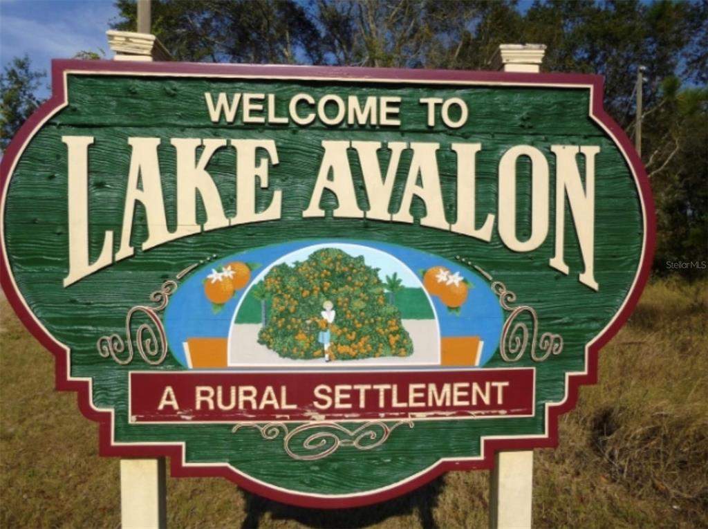 17549 Seidner Road Winter Garden, FL 34787 - Photo 26 of 37