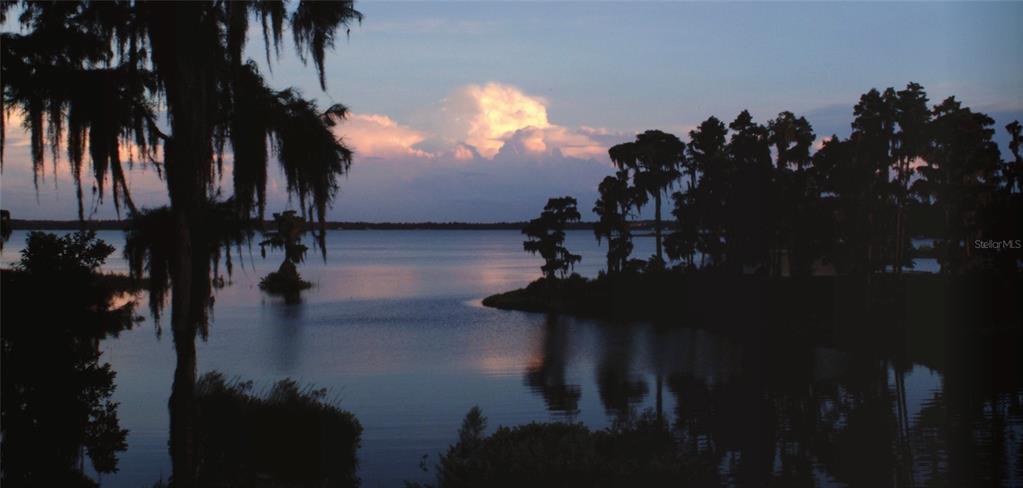 17549 Seidner Road Winter Garden, FL 34787 - Photo 28 of 37