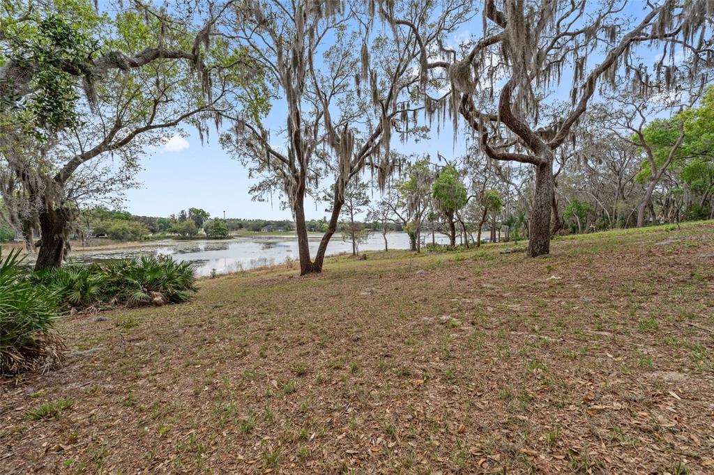 17549 Seidner Road Winter Garden, FL 34787 - Photo 9 of 37