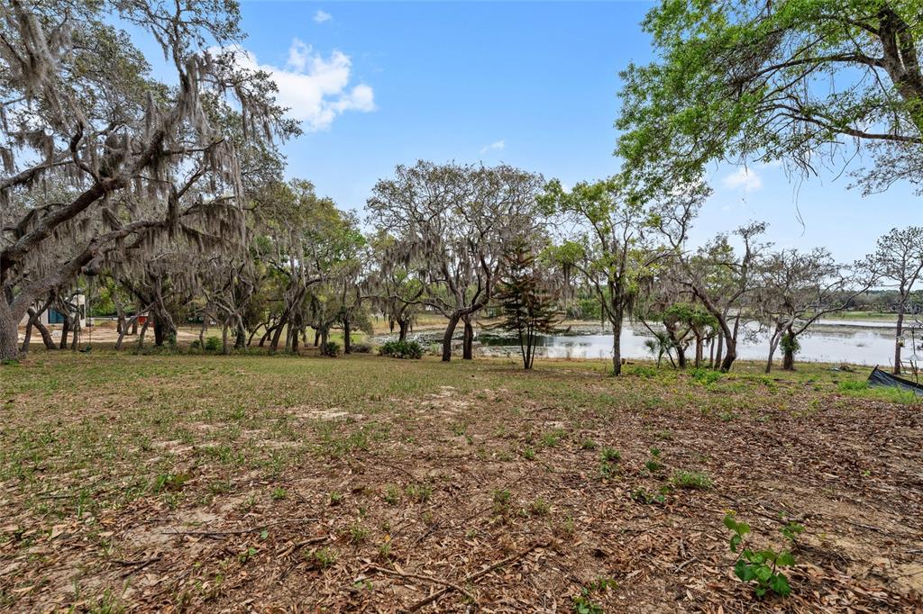 17549 Seidner Road Winter Garden, FL 34787 - Photo 10 of 37