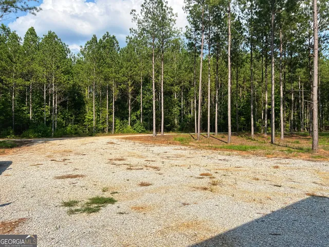 a house with trees in the background